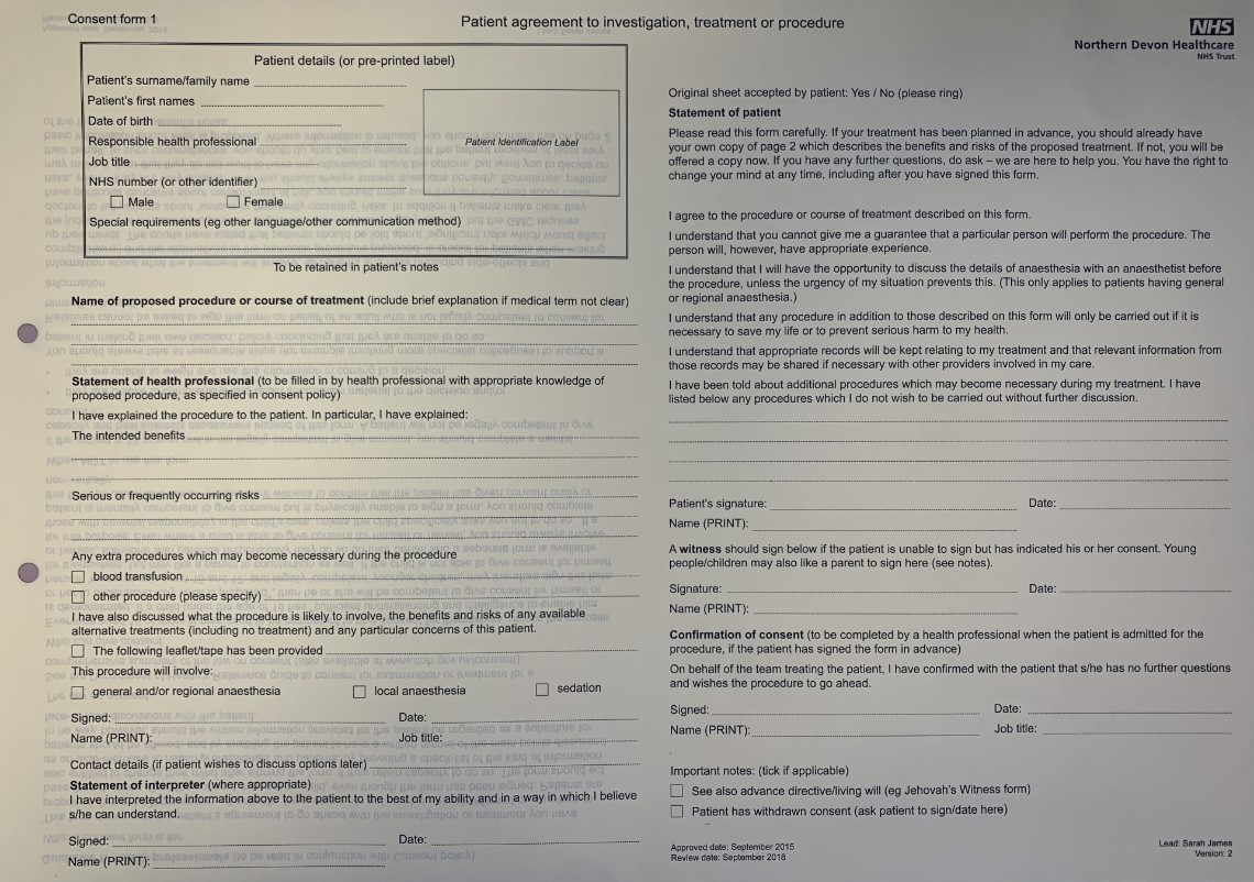 Fig.3 Consent form sample Adult